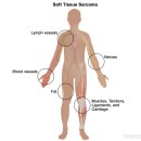 현대중앙병원 이미지