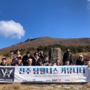 팀웰니스 이미지