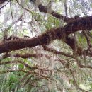 사진예술 이미지