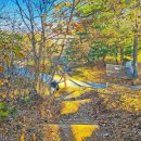 송능1리 이미지