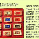 청색자색 이미지