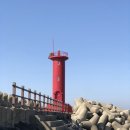 태양보룡 | 18년 만의 제주 (1)