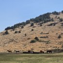 해안로2-L | 제주 감성 숙소 귤림재 숙박 후기｜가격·예약 용눈이오름 근처 숙소