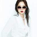 아이젠트리 다사점 이미지