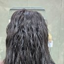 수원-1242 이미지