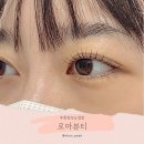 화정속눈썹펌 유지력 좋은 곳 로아뷰티 솔직 후기
