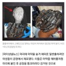 아라헤어갤러리 이미지