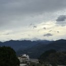 아리산본점 | 갑자기 타이중 여행 3박 4일 4일차 : 아리산 얼옌핑 운해