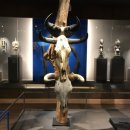 아프리카 박물관 이미지