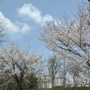 [판교 왁싱]그레이슈가링, 브라질리언 왁싱 솔직 후기 (통증, 효과 총정리)