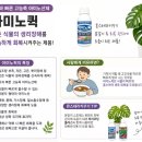더바른팜 | 몬스테라·고추 키우기 과습으로 약해진 식물, 어떤 영양제를 써야 할까 회복 관리 팁