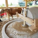 화천박물관 이미지