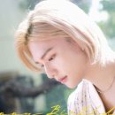 (주)에스에프 이미지