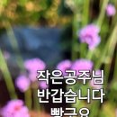 공주님빵