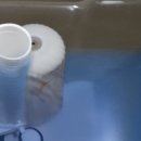 리빙홈즈 | 2025년 클린햇 변기세정제 vs 홈즈리빙 후기, 결국 클린햇이 더 나은 이유