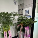 가이건축사사무소 이미지