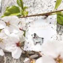 꽃길만 걷게 해줄'개' 이미지