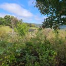 양지바른 이미지