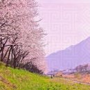 쉽게 배우는 초보영어 이미지