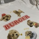 펫시안