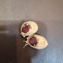 하람한의원 이미지