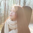 솔라 이미지