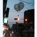 은평전단