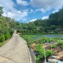 예봉로(녹전면) 이미지