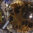 시락 소포마을 이미지