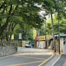 용인가든 | [북한산/우이동] 서울 시내에서 계곡, 닭백숙 그리고...즐길 수 있다?! "용인가든"(내돈내산 솔직후기)