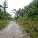 곰재농장 이미지