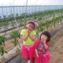 지은이농장 이미지