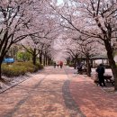 원적산공원 이미지