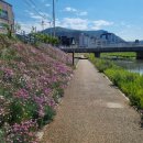 한계 1 한천여자경로당 | 뽈뽈뽈... 돌아다니는 5월 하반기 일상..