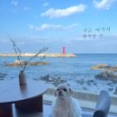 꼬미꼬미수산
