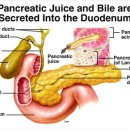 봄앤동물병원 이미지