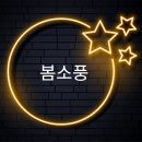 봄소풍으로 6년 이미지