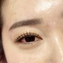 퀸도테라 - 28260 | 퀸도테라