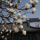 충청 축산 | 청주 칠순 잔치 가족모임 수이재 런치 코스