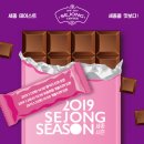 세종패키지