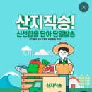 산지직송💚총알배송(feat.무뽑기체험) 이미지