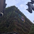 짜자장 | 후쿠오카 명란바게트 맛집 풀풀 하카타 Full Full Hakata 웨이팅 없이 먹는 꿀팁