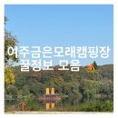 서울 근교 캠핑 추천! 금은모래캠핑장 – 입장료, 이용팁, 주의사항 총정리 🏕️