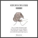 럭스헤어 이미지