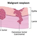 방주동물의료센터 이미지