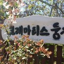 안젤라농장 이미지