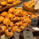 파파레브 이미지