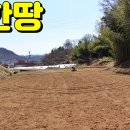 용봉장 티스토리