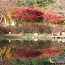 시골보리밥상 티스토리