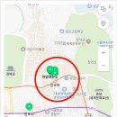 대성동 시민경찰연합회 | 대국민저항권 도보 대행진 시위 참가 후기 - 경찰의 공안화